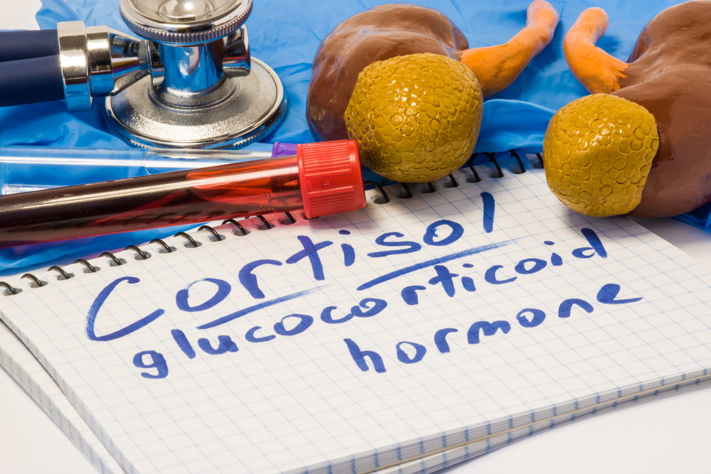 medical tools and notes about cortisol hormone.