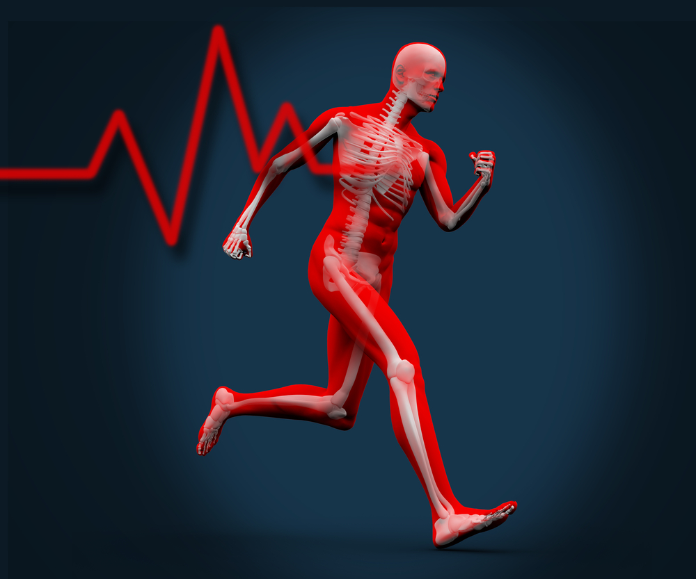 runner's anatomy with heartbeat, depicting stress response