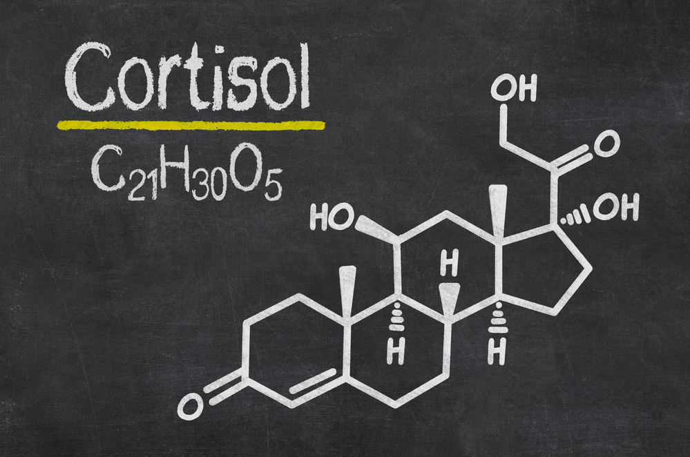 what does stress do to your body_cortisol